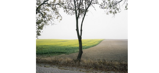Zwischen Lemmersdorf und Kleisthöhe, 2016 (aus der Serie 